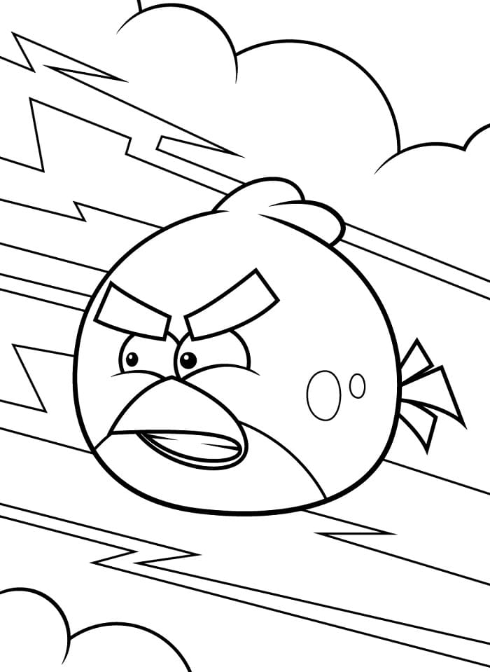 Vtipné Angry Birds omalovánka