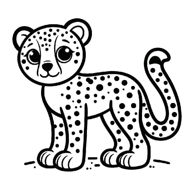Omalovánky Gepard