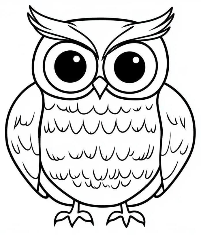 Sova omalovánky