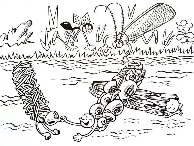 Ferda Mravenec (13) omalovánka