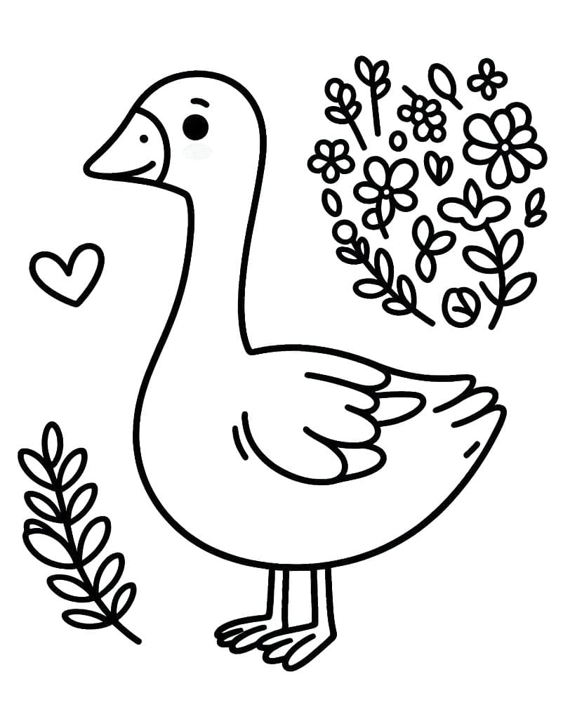 Husa Obrázek omalovánka