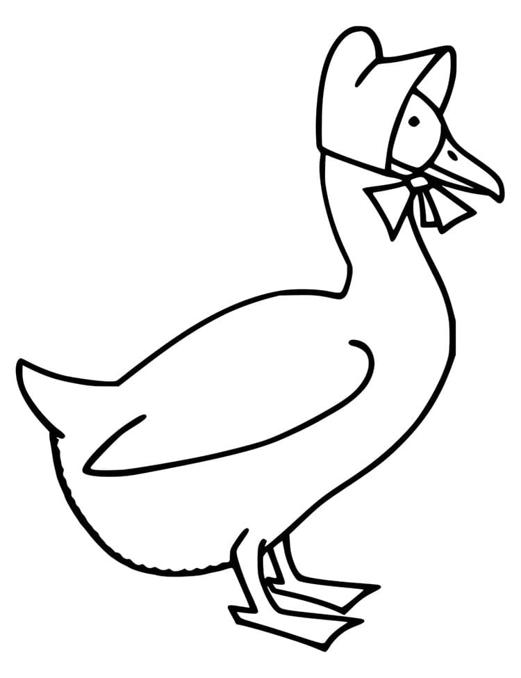 Husa Tisknutelná omalovánka