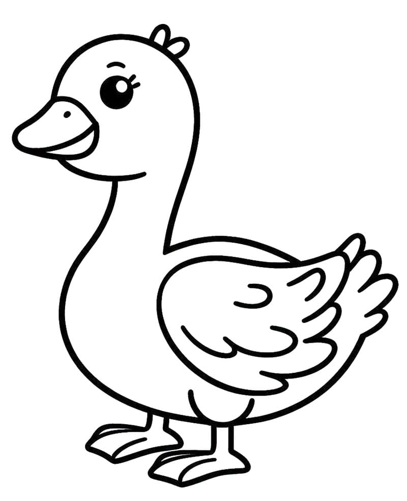 Husa Zdarma pro Děti omalovánka