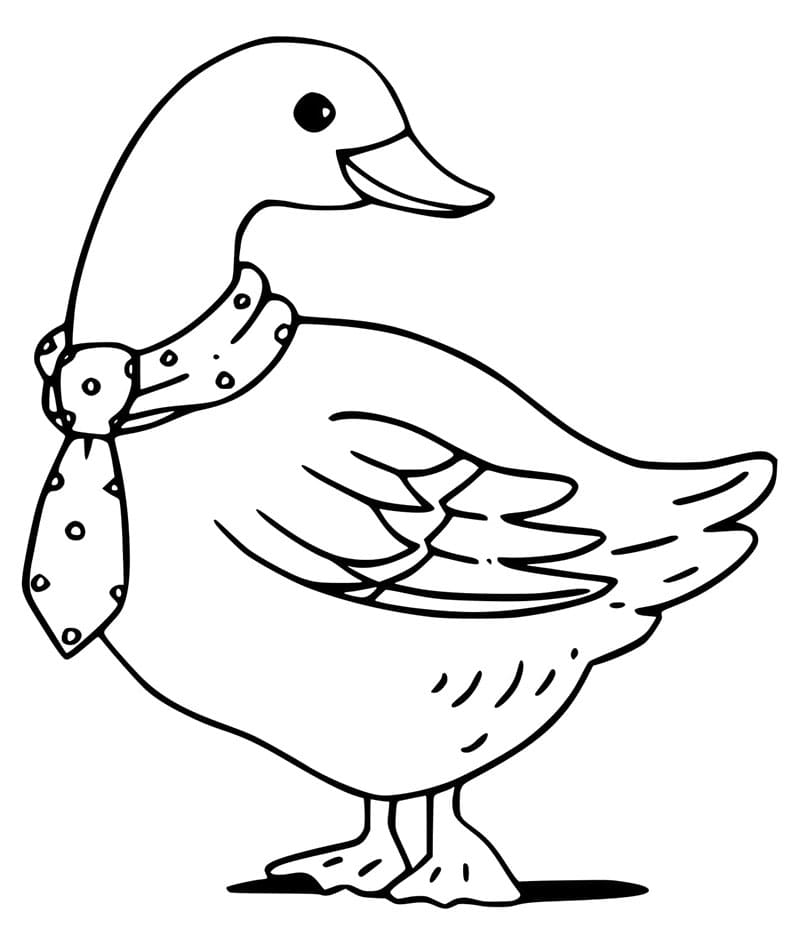 Husa Zdarma omalovánka