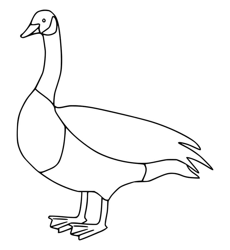 Husa k Tisku omalovánka