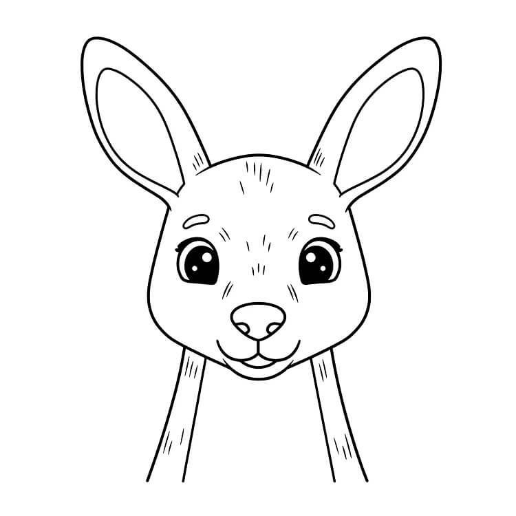 Klokan 2 omalovánka