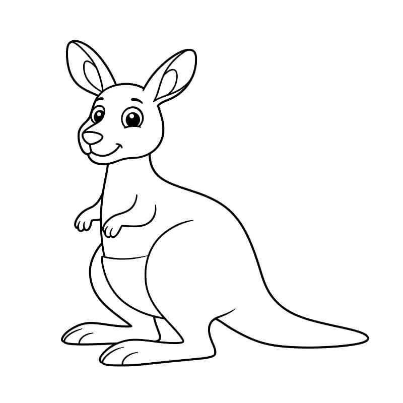 Klokan 4 omalovánka