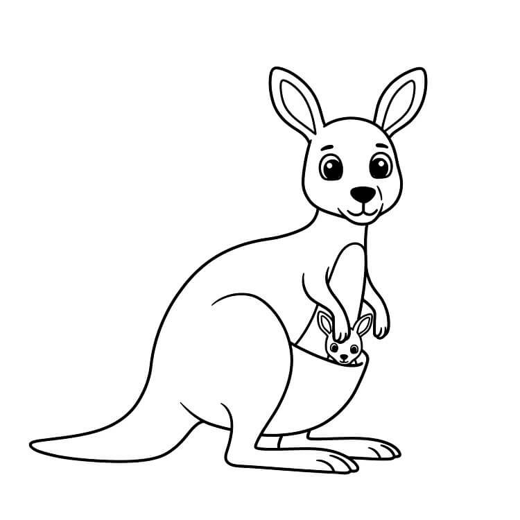 Klokan 6 omalovánka