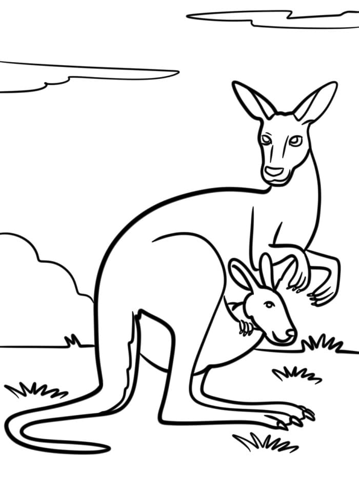 Klokan Tisknutelný pro Děti omalovánka