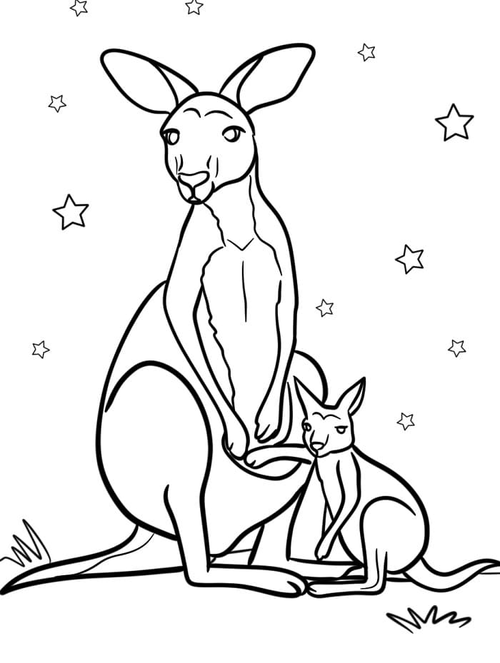 Klokan Zvíře omalovánka