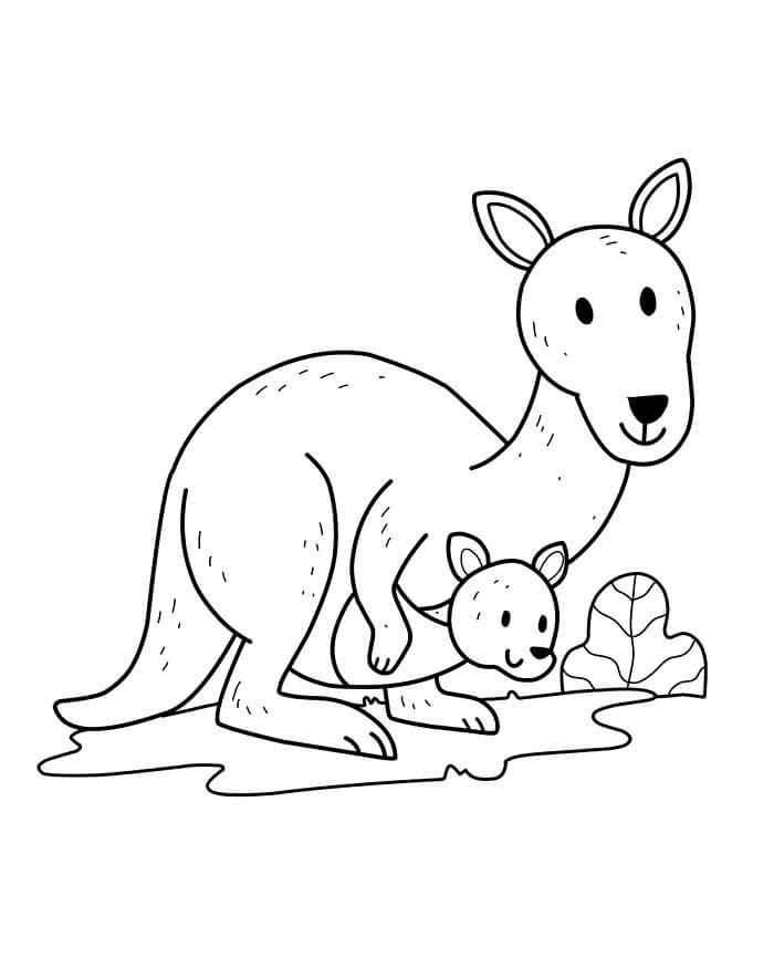 Klokan pro 2leté Děti omalovánka