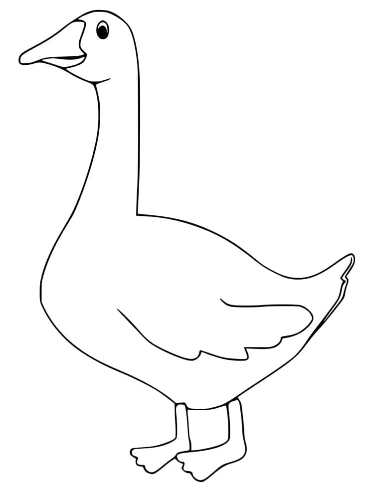 Krásná Husa omalovánka