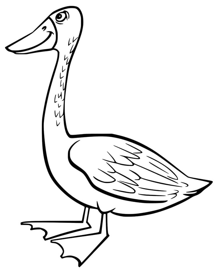 Okouzlující Husa omalovánka