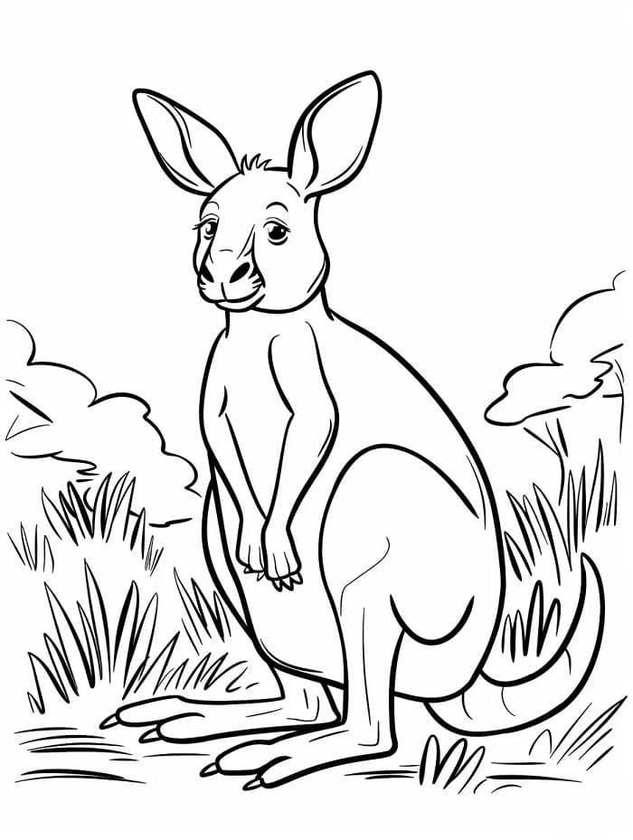 Okouzlující Klokan omalovánka