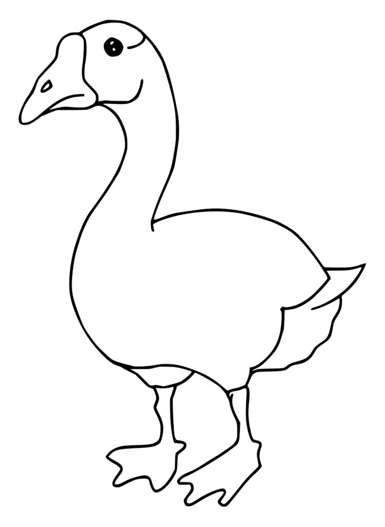 Pěkná Husa omalovánka