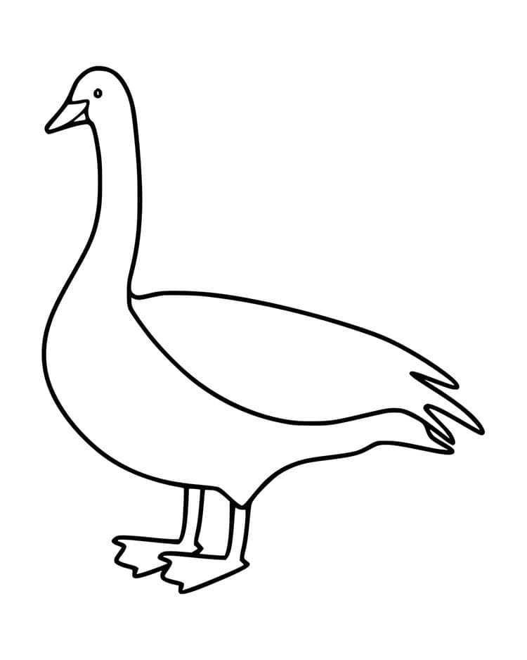 Roztomilá Husa omalovánka