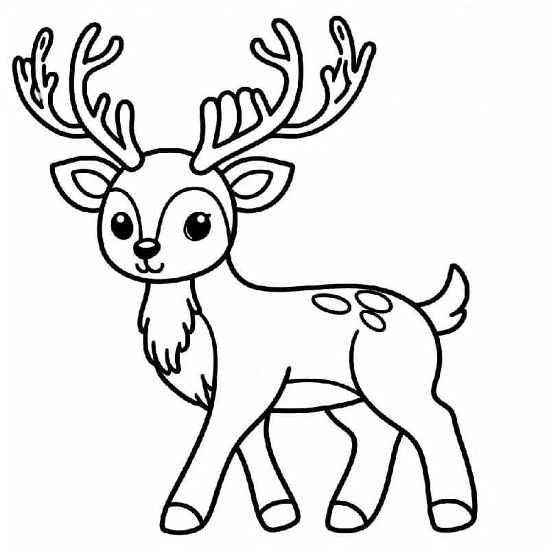 Sob Zdarma Obrázek omalovánka