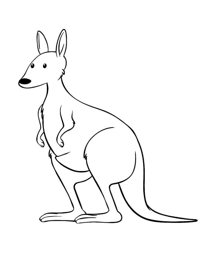 Tisknutelný Klokan Bez Poplatku omalovánka