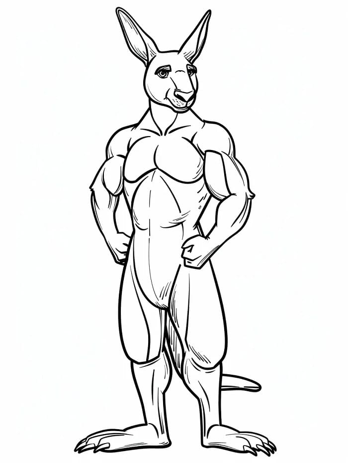 Základní Klokan omalovánka