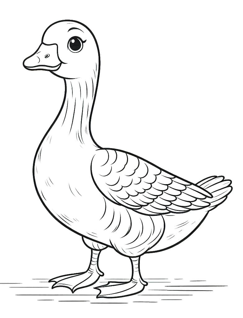 Zdarma Husa k Tisku omalovánka