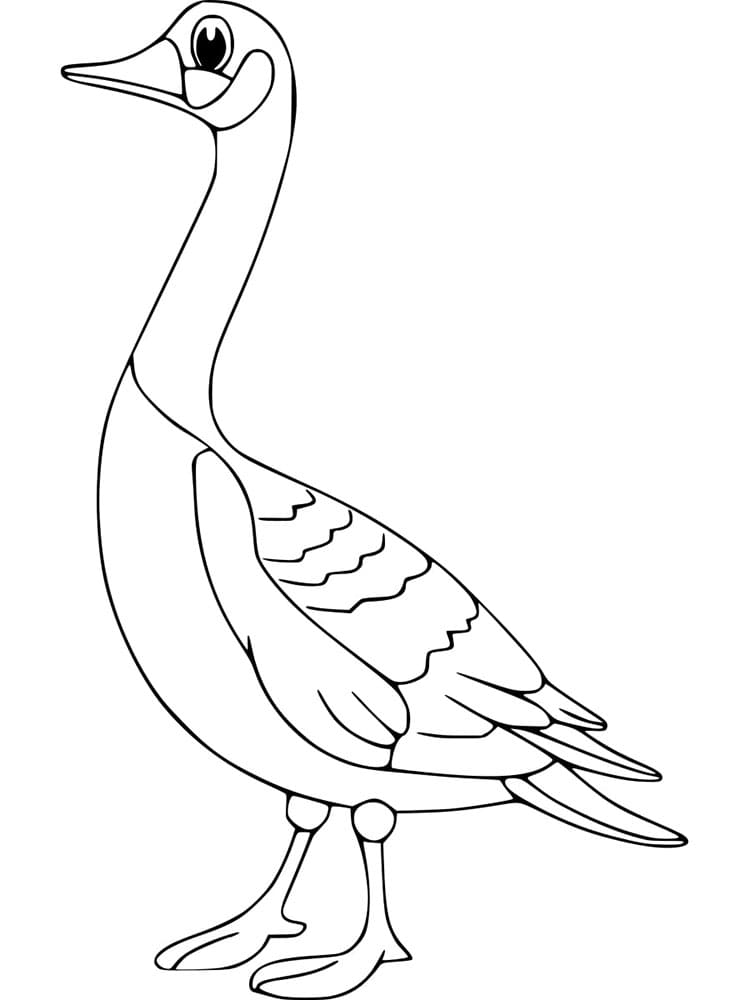 Zdarma Husa omalovánka