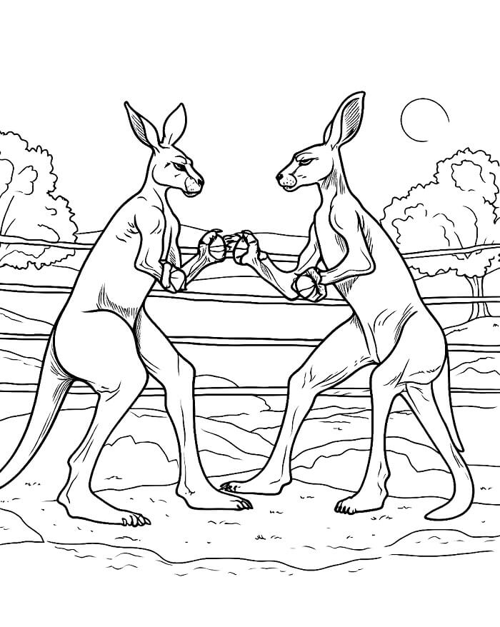 Zdarma Klokan k Tisku omalovánka