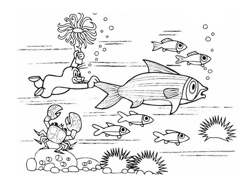 Zdarma Krtek Obrázek omalovánka