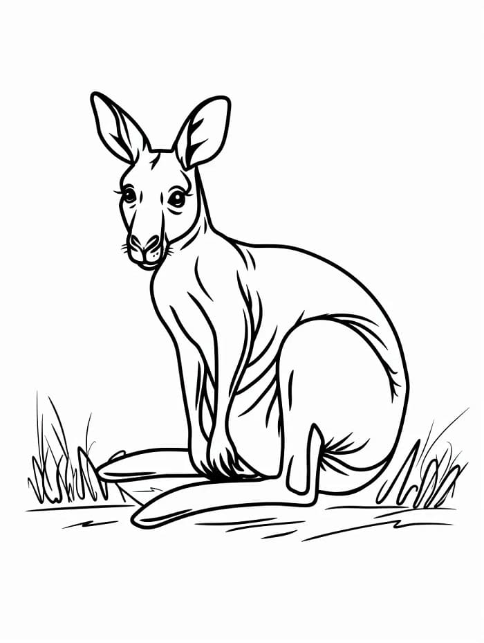 Zdarma Tisknutelný Klokan omalovánka