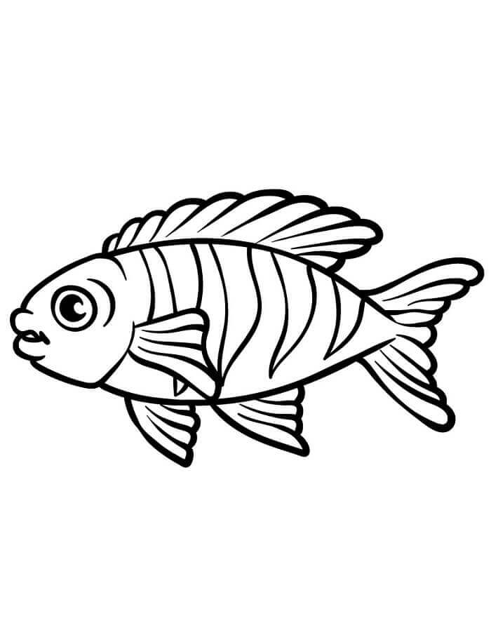 Běžná Ryba omalovánka