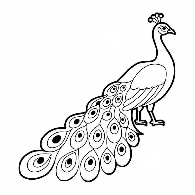 Fantastický Páv omalovánka