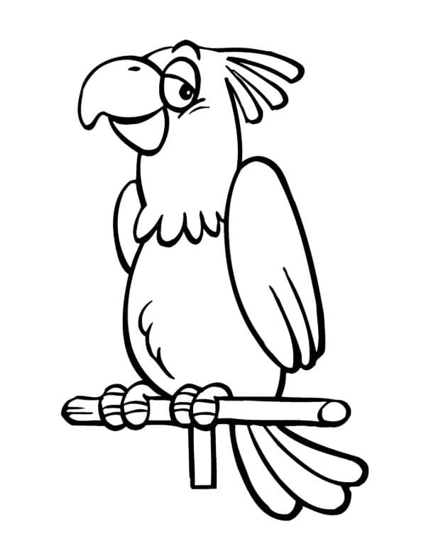 Kreslený Papoušek omalovánka