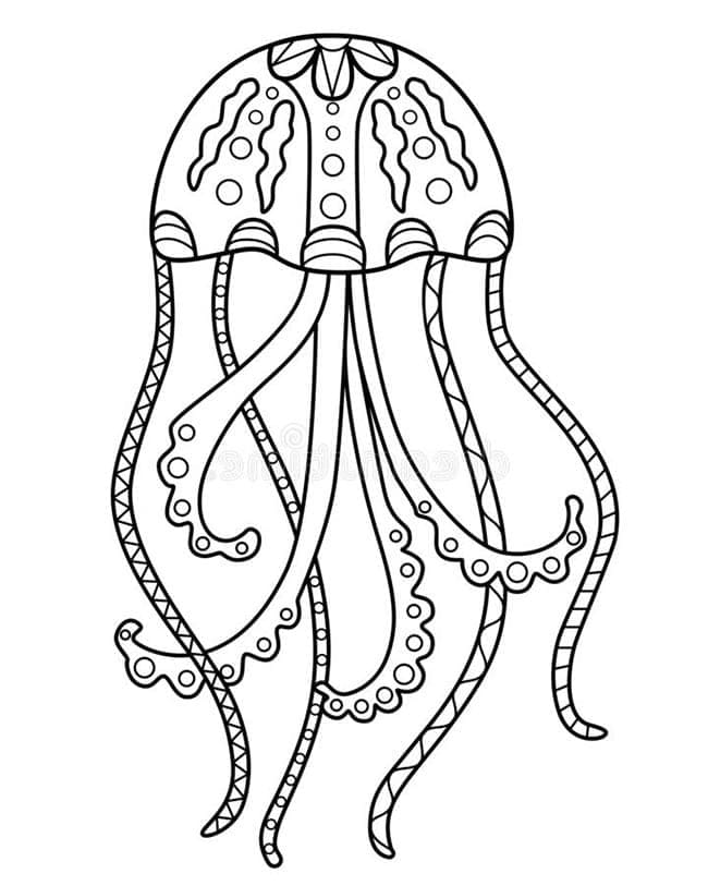 Medúza Zdarma pro Děti omalovánka