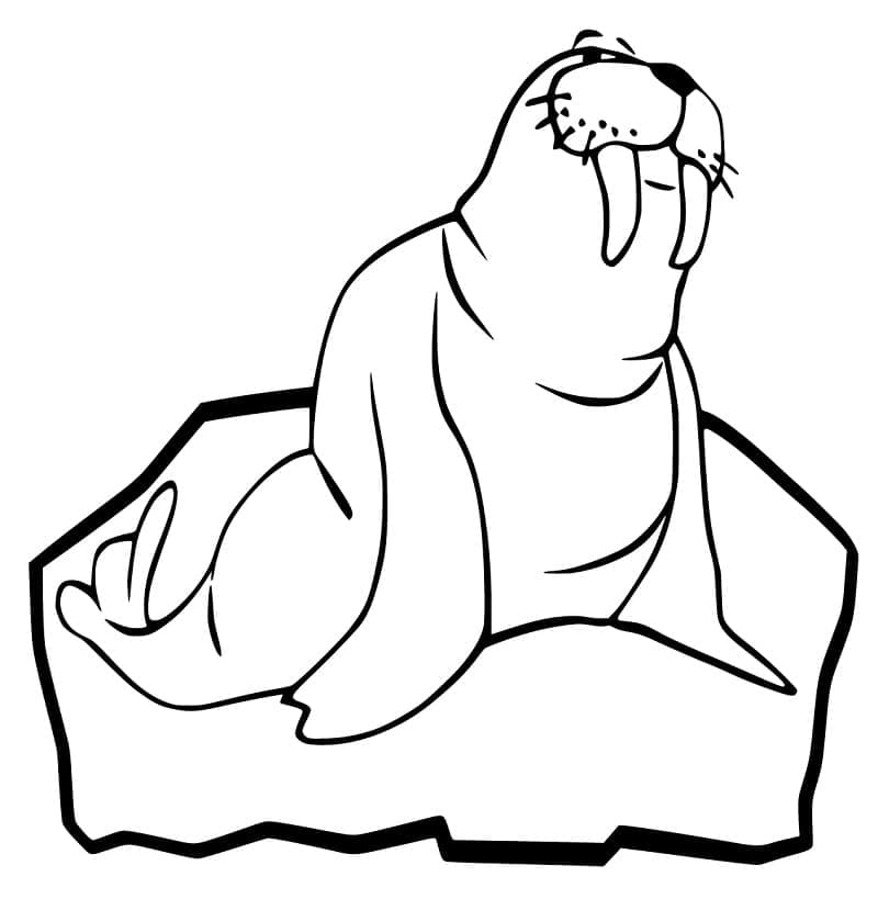 Mrož na Ledu omalovánka