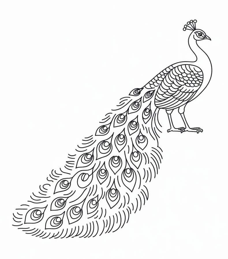 Páv pro 1leté Děti omalovánka