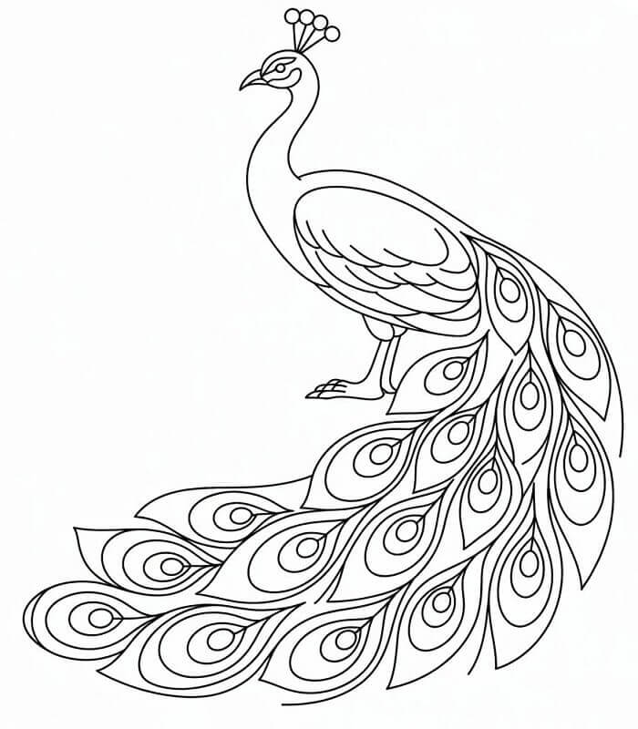 Páv pro 2leté Děti omalovánka