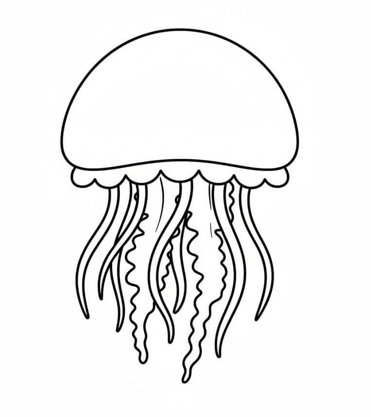 Plavající Medúza omalovánka