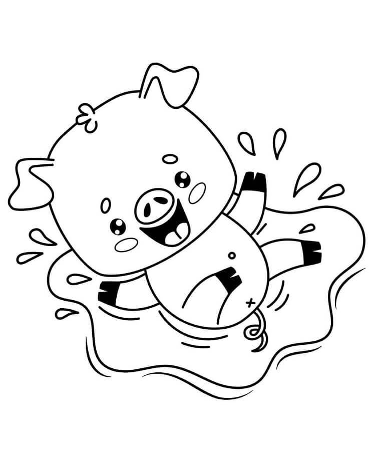 Prasátko Obrázek omalovánka