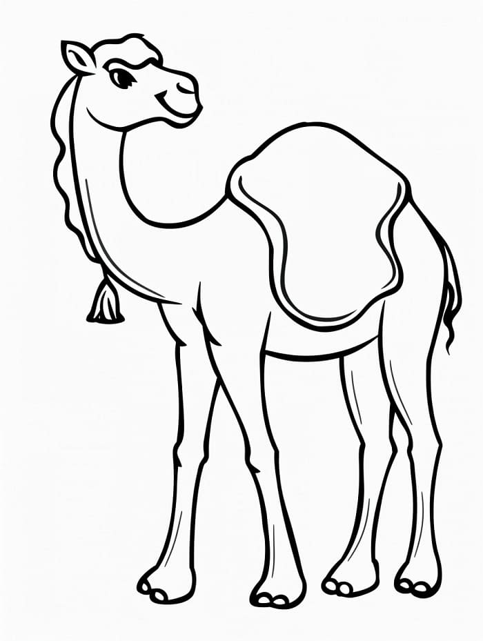 Příjemný Velbloud omalovánka