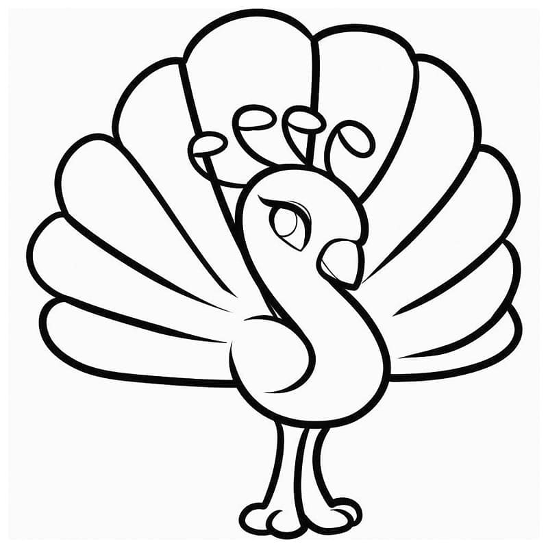 Roztomilý Páv omalovánka