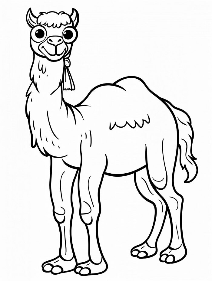 Tisknutelný Velbloud Bez Poplatku omalovánka