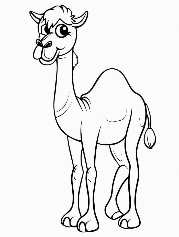 Tisknutelný Zdarma Velbloud omalovánka