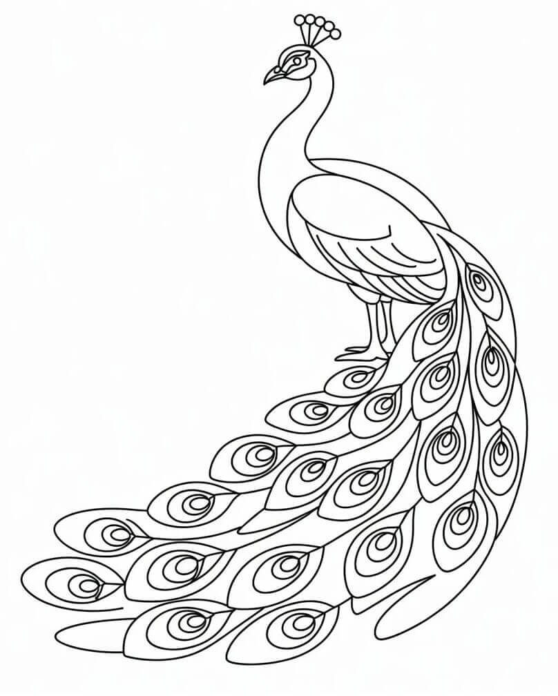 Úžasný Páv omalovánka