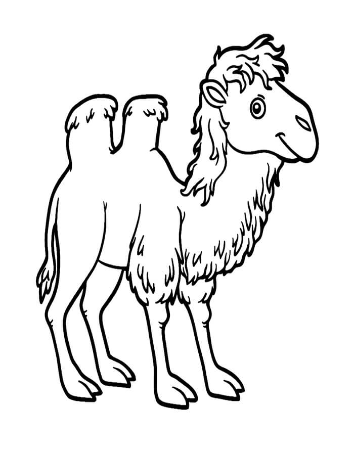 Velbloud Zdarma pro Děti omalovánka