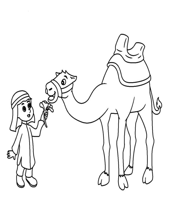 Velbloud pro 4leté Děti omalovánka