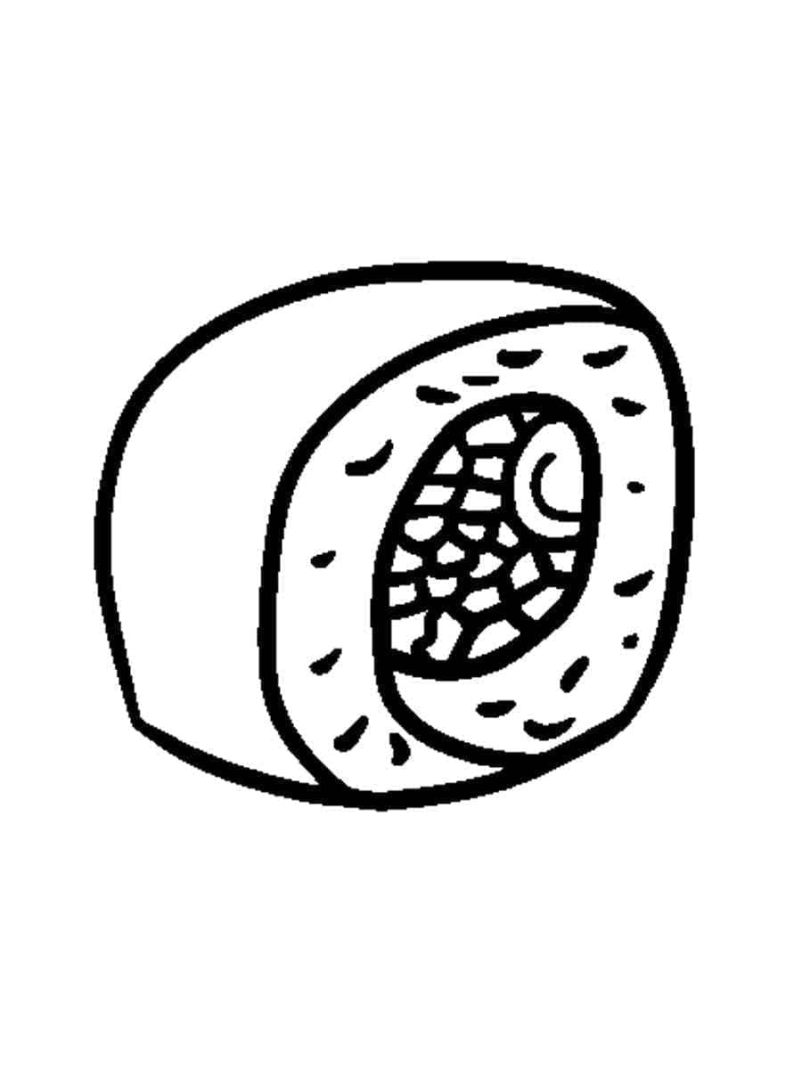 Velmi Jednoduché Sushi omalovánka
