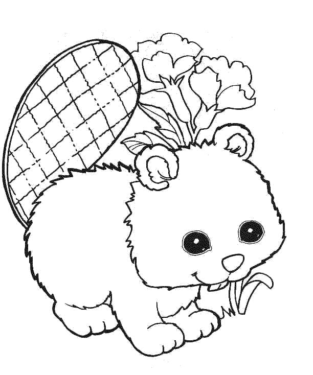 Bobr da Stampare omalovánka